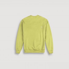 Sweat Shirt (Light Green)