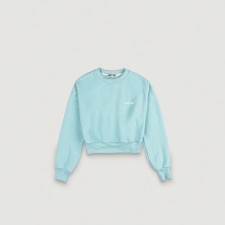 Cropped Sweat Shirt (Light Blue)