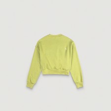 Cropped Sweat Shirt (Light Green)