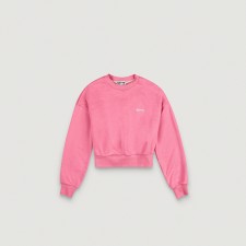 Cropped Sweat Shirt (Pink)