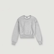 Cropped Sweat Shirt (Gray)