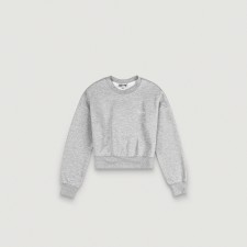 Cropped Sweat Shirt (Gray)