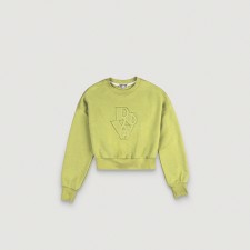 Cropped Cut Off Sweat Shirt (Light Green)