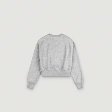 Cropped Cut Off Sweat Shirt (Gray)